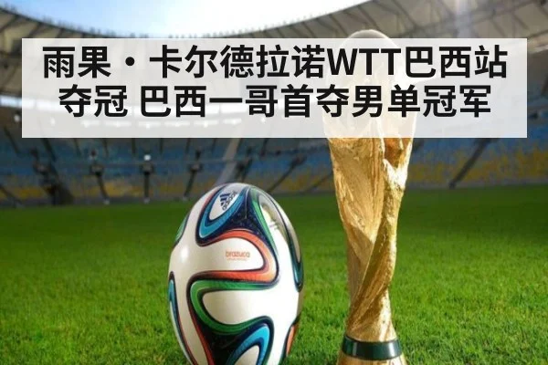 雨果·卡尔德拉诺WTT巴西站夺冠 巴西一哥首夺男单冠军（jiuyou）